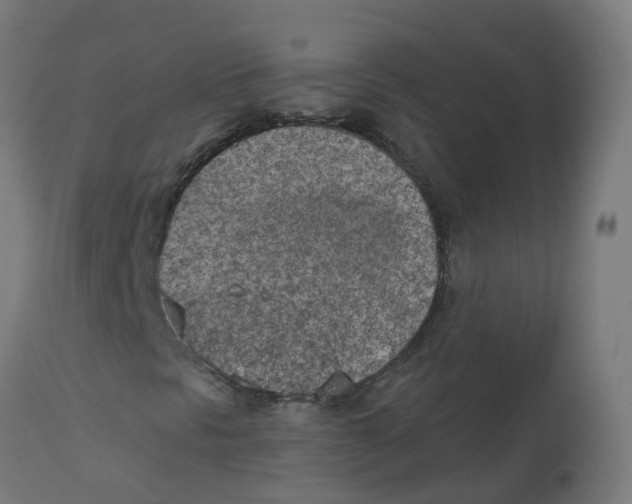 X0000112781297200909171327