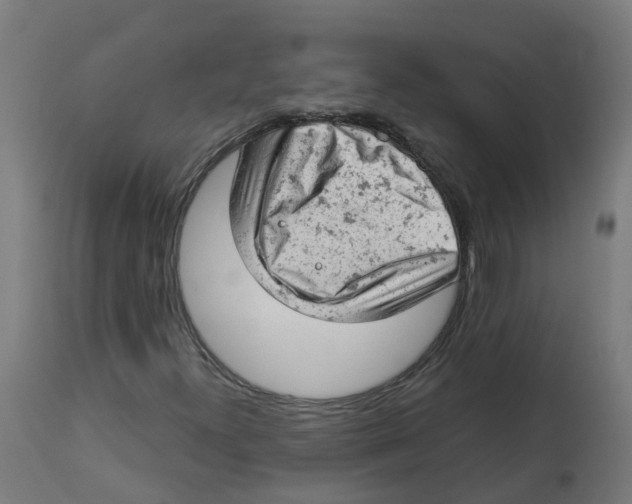 X0000112781300200909171327