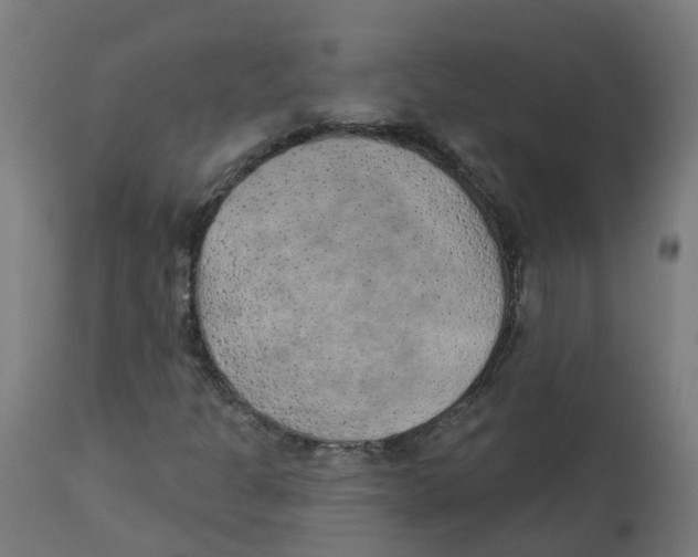 X0000112781301200909171327