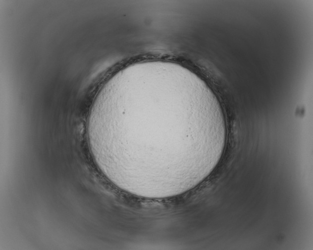 X0000112781302200909171327