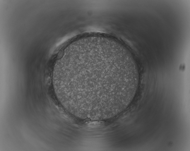 X0000112781303200909171327