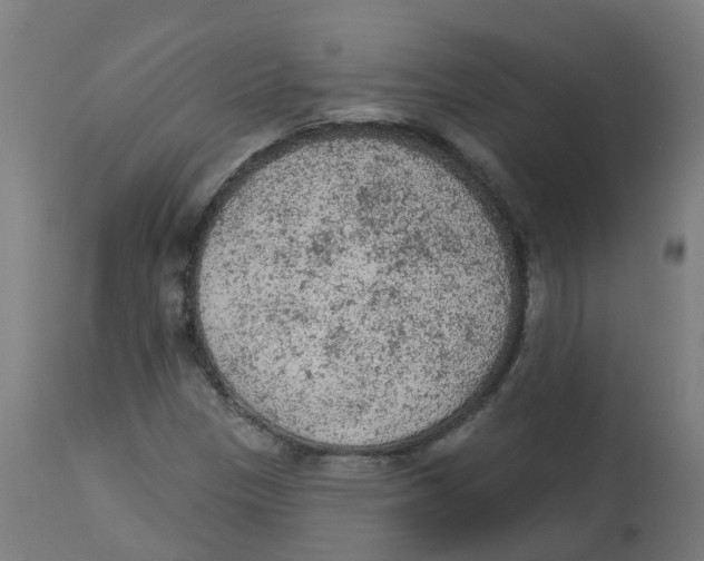 X0000112781305200909171327