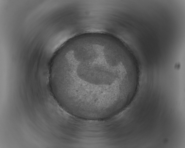 X0000112781306200909171327