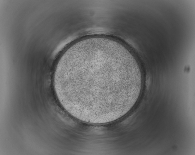 X0000112781309200909171327