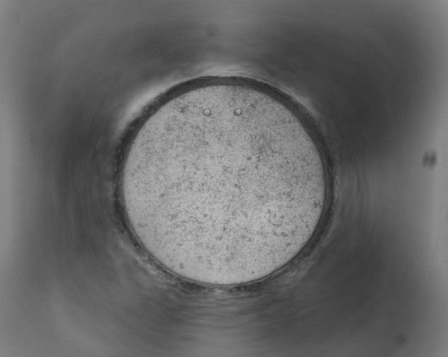 X0000112781311200909171327