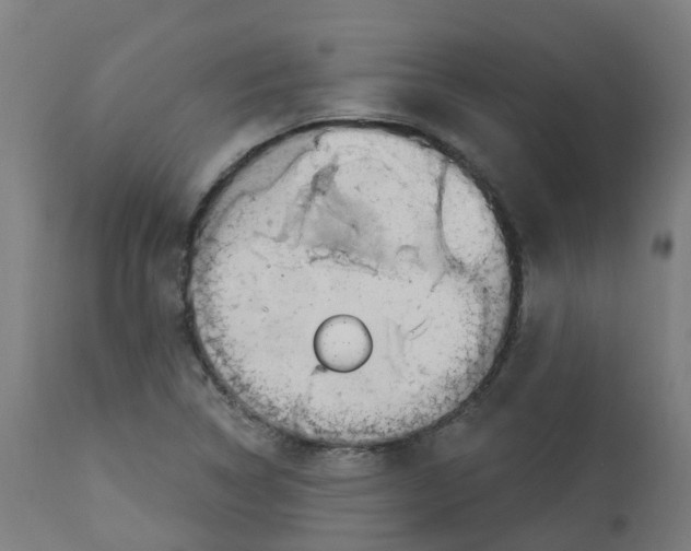 X0000112781314200909171327