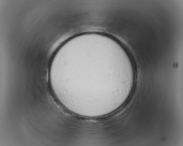 X0000112781317200909171327