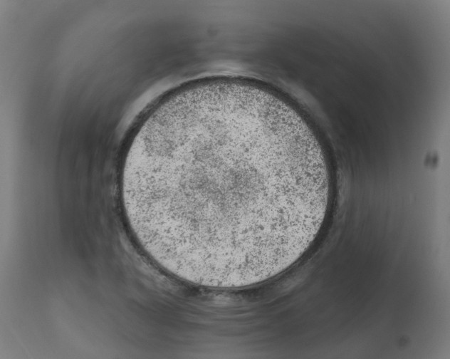 X0000112781318200909171328