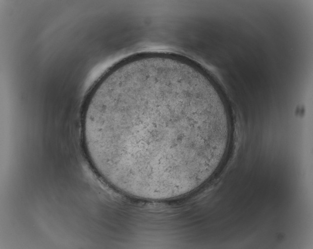 X0000112781319200909171328