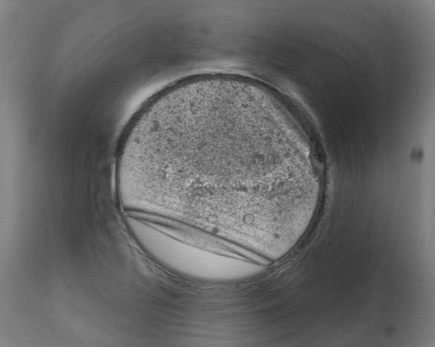 X0000112781320200909171328