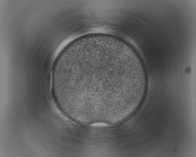 X0000112781323200909171328