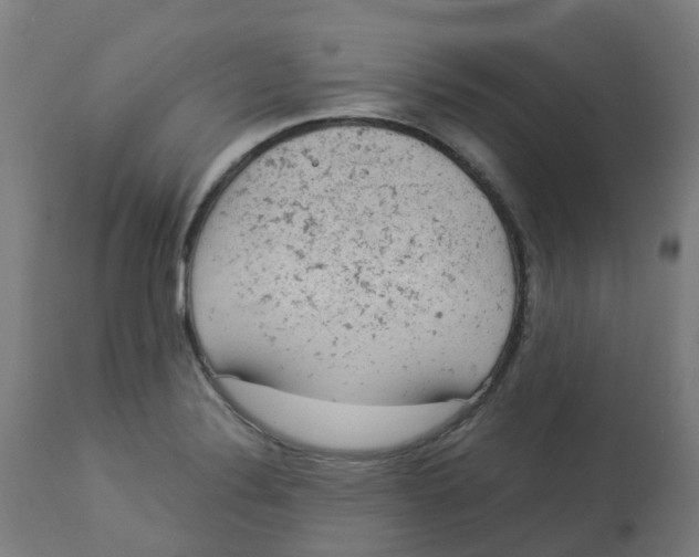 X0000112781324200909171328