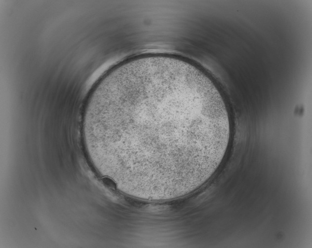 X0000112781325200909171328