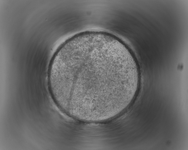 X0000112781327200909171328