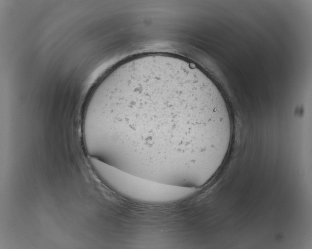 X0000112781328200909171328