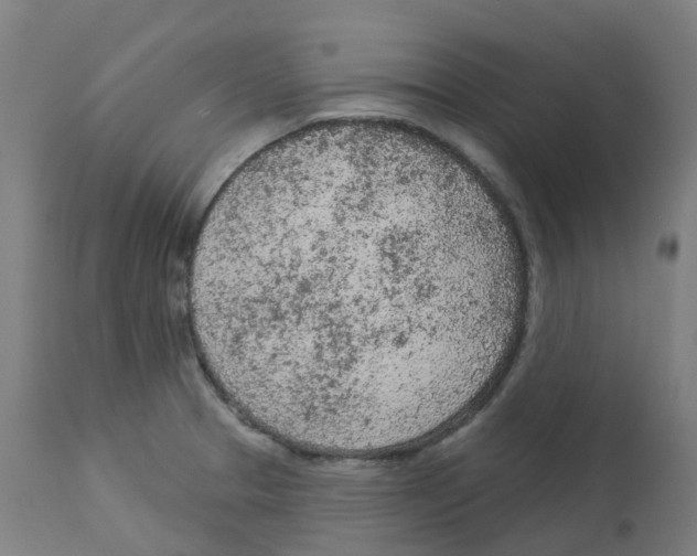 X0000112781329200909171328