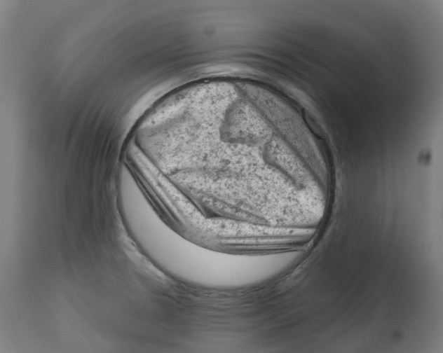 X0000112781330200909171328