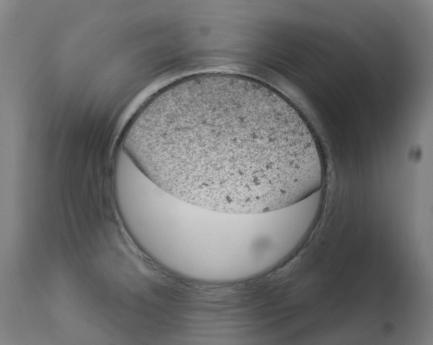 X0000112781332200909171328