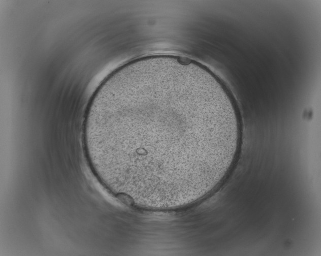 X0000112781333200909171328