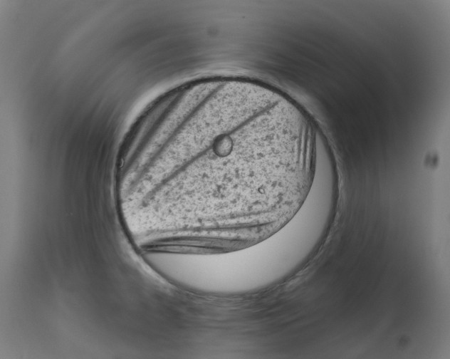 X0000112781334200909171328