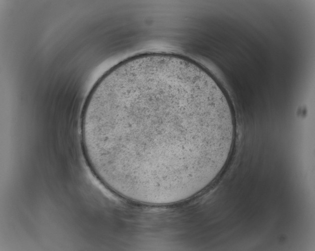 X0000112781335200909171328