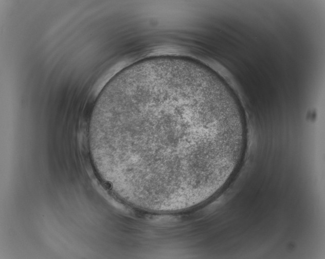 X0000112781337200909171328