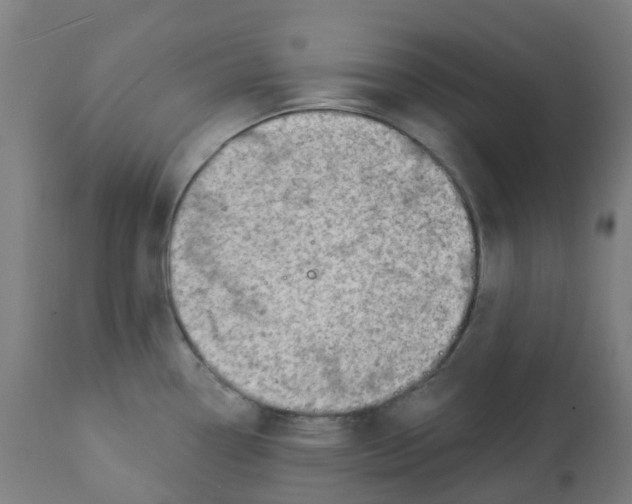 X0000112781338200909171328