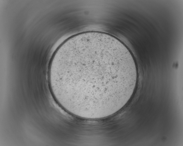 X0000112781339200909171328