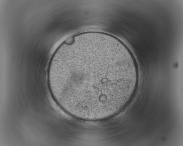 X0000112781341200909171328