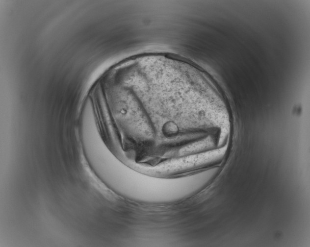 X0000112781342200909171328