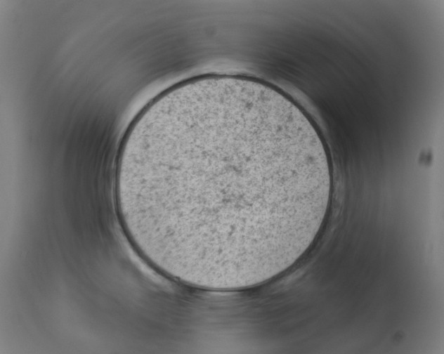 X0000112781343200909171328