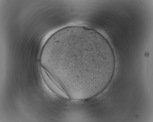 X0000112781344200909171328