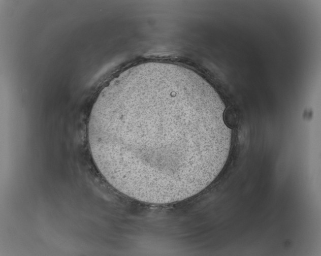 X0000112781350200909171327