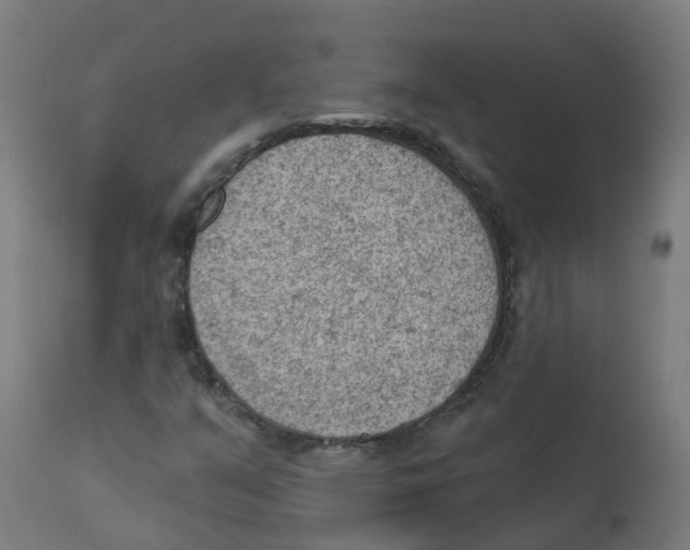 X0000112781351200909171327