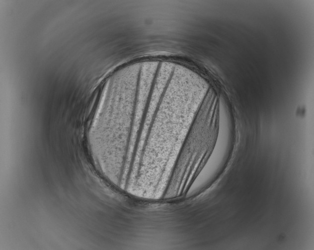 X0000112781353200909171327