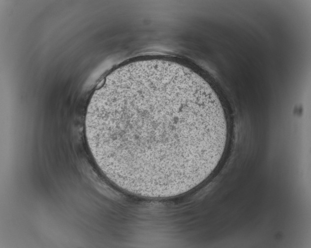 X0000112781355200909171327