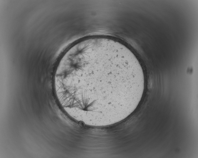 X0000112781356200909171327