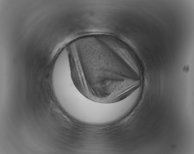 X0000112781357200909171327