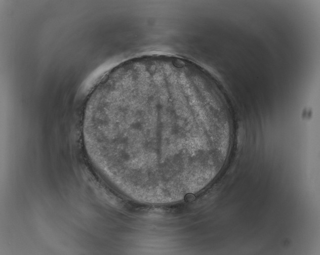 X0000112781359200909171327