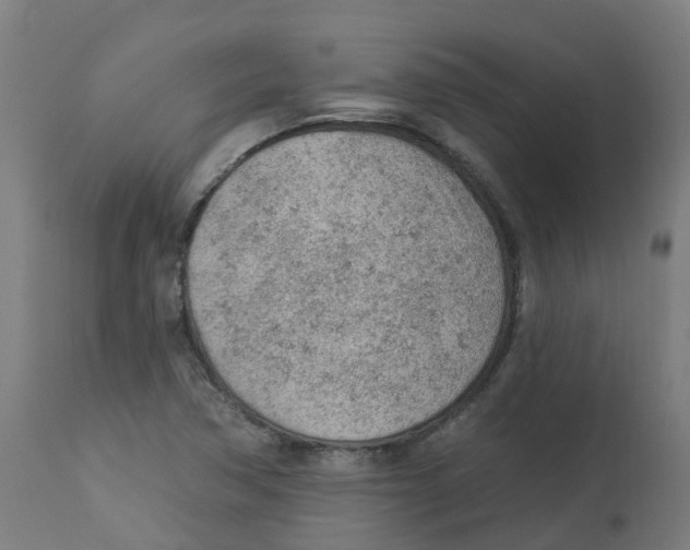 X0000112781362200909171327