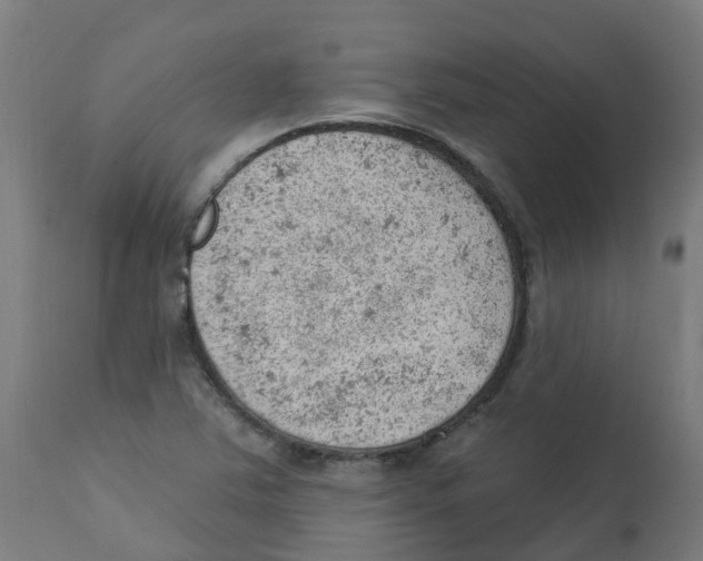 X0000112781363200909171327