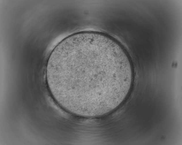 X0000112781367200909171327