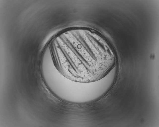 X0000112781368200909171327