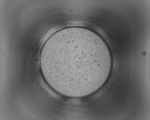 X0000112781370200909171327