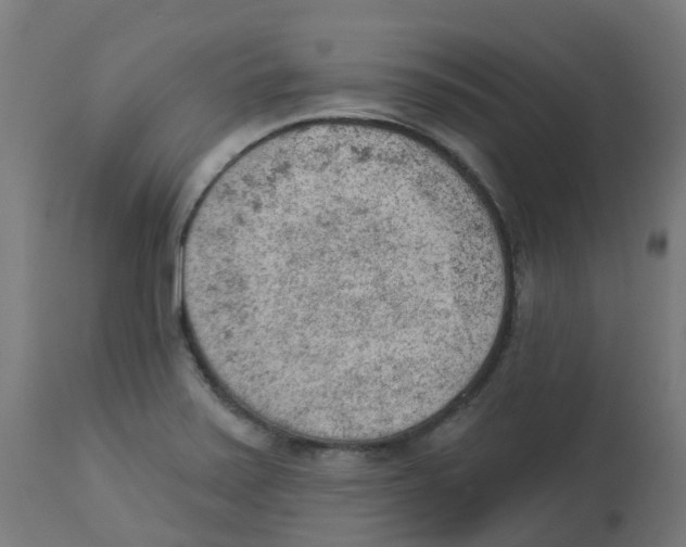 X0000112781371200909171327