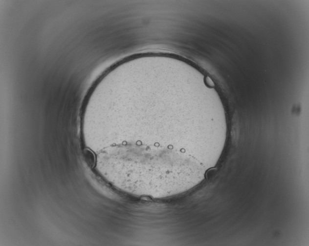 X0000112781372200909171327