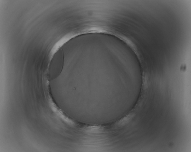 X0000112781373200909171327