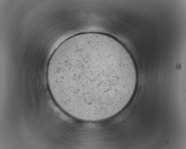 X0000112781374200909171327