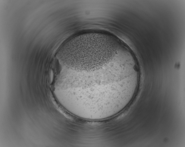 X0000112781377200909171327