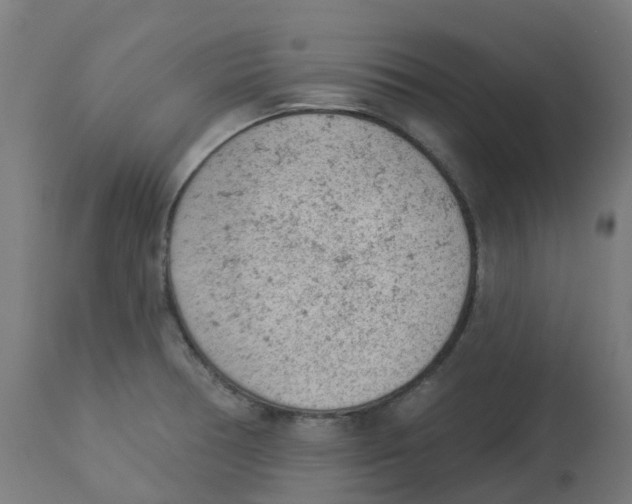 X0000112781378200909171327